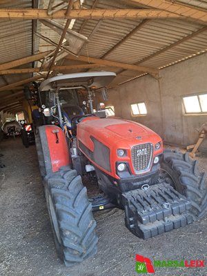 Tracteur agricole Same Argon 80 - 1