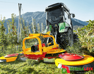 Arboriculture Ilmer SMG - 3