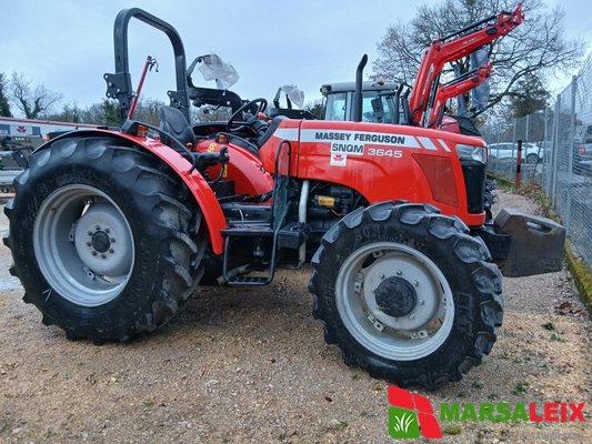 Tracteur agricole Massey Ferguson 3645 - 1