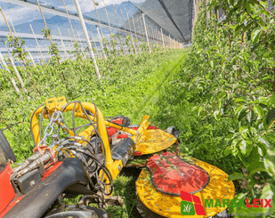 Arboriculture Ilmer SMG - 4