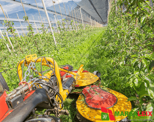 Arboriculture Ilmer SMG - 4