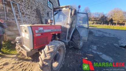 Tracteur agricole Massey Ferguson 365 - 1