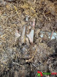 Épandeur à fumier Agrimat AG 12 - 2