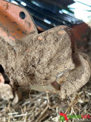 Combiné de semis Amazone AD 303 SPECIAL CULTIMIX - 10